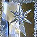 Macy’s Holiday Celebrations